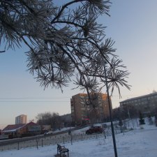 Февраль 2023 год