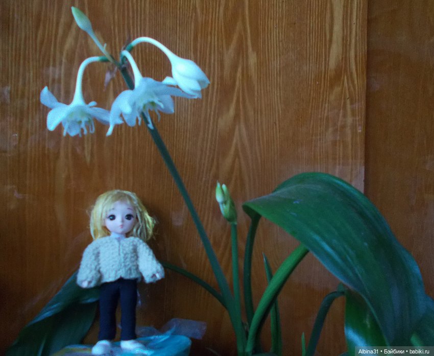 Баболи — Куклы Baboliy (Баболи (фото 8)