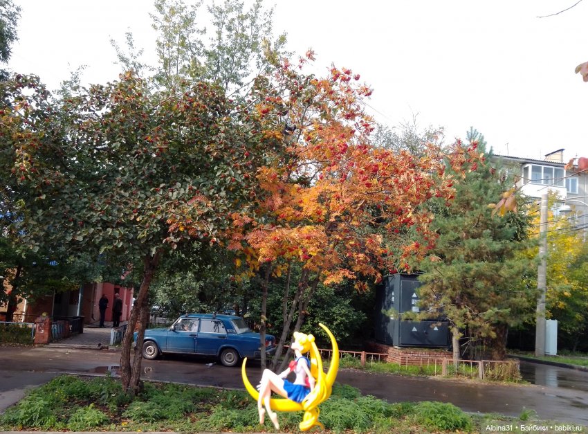 Аниме куклы (MJD/Винил): Imomo (фото 2)