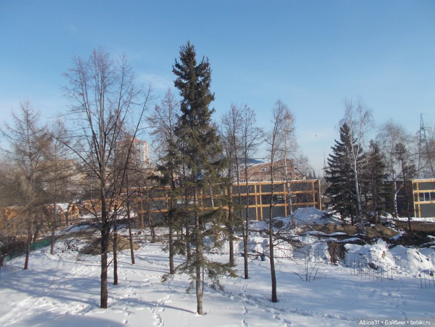 Февраль 2023 год — Игровые куклы разных производителей (Разное): редкие бренды