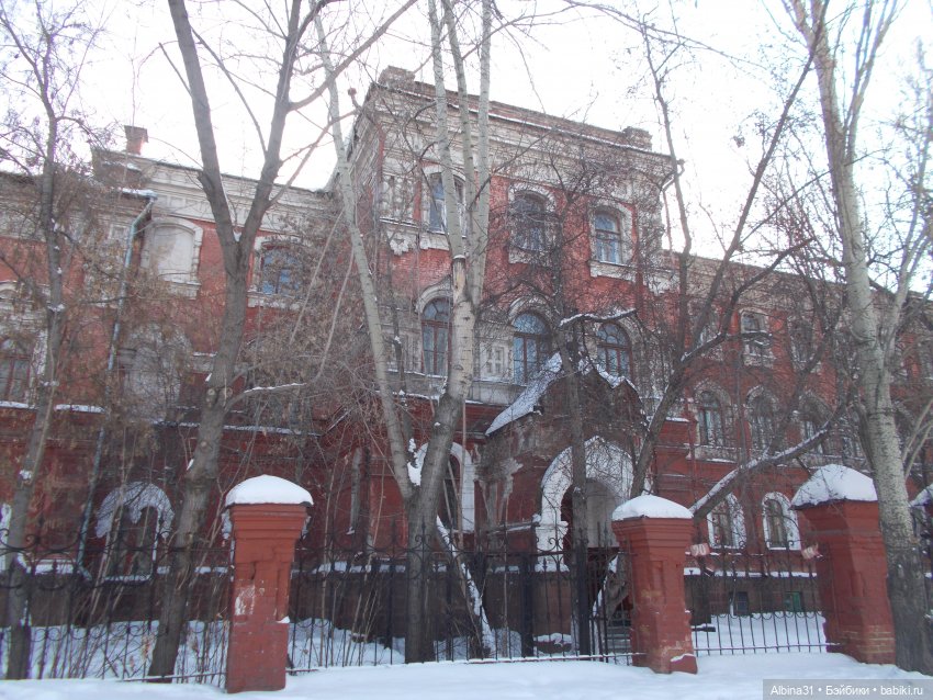 Февраль 2023 год — Игровые куклы разных производителей (Разное): редкие бренды