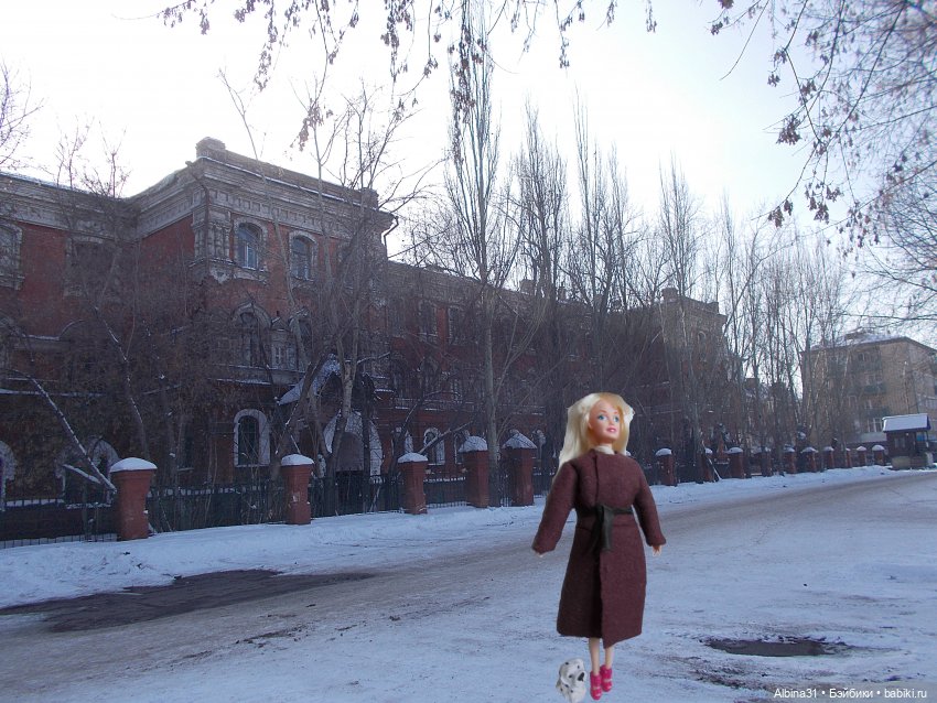 Февраль 2023 год — Игровые куклы разных производителей (Разное): редкие бренды