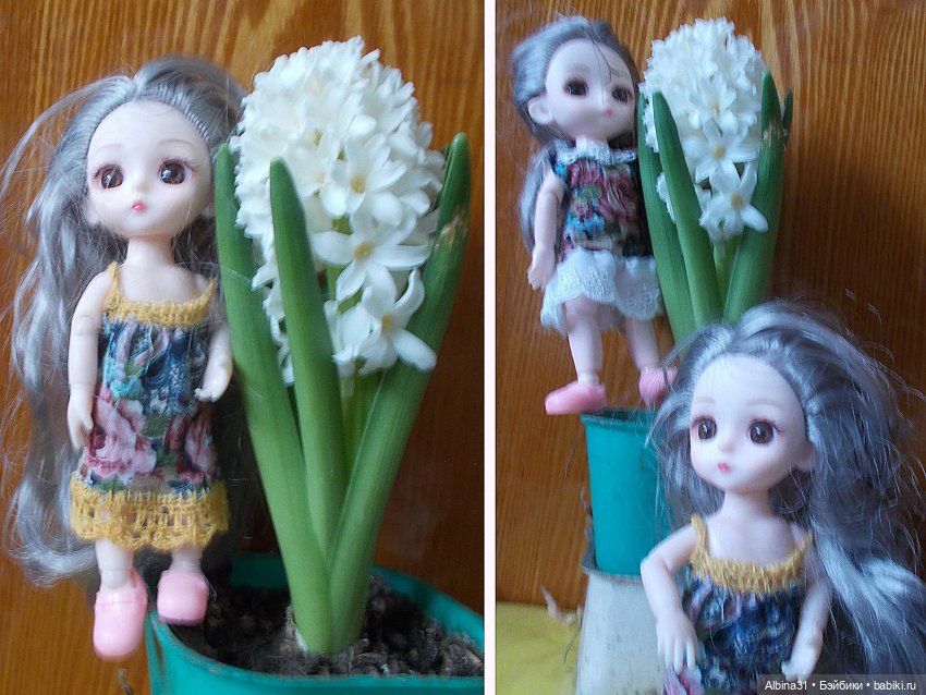 Куклы и гиацинт — Игровые куклы разных производителей (Разное): редкие бренды (фото 3)