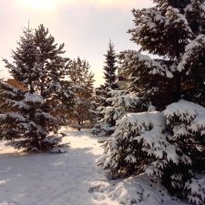 Весна... Городские зарисовки