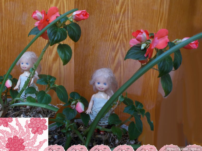 Малышня и аленький цветочек