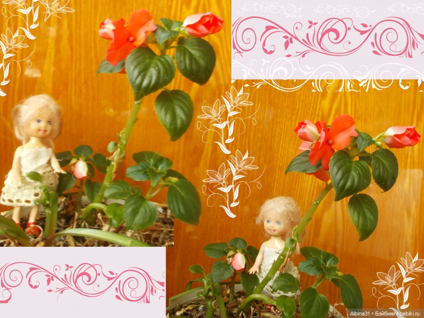 Малышня и аленький цветочек (фото 2)