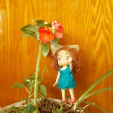 Малышня и аленький цветочек