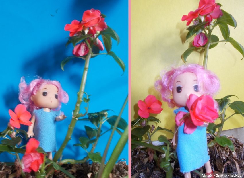 Малышня и аленький цветочек (фото 7)