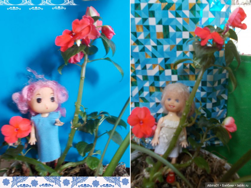 Малышня и аленький цветочек (фото 8)