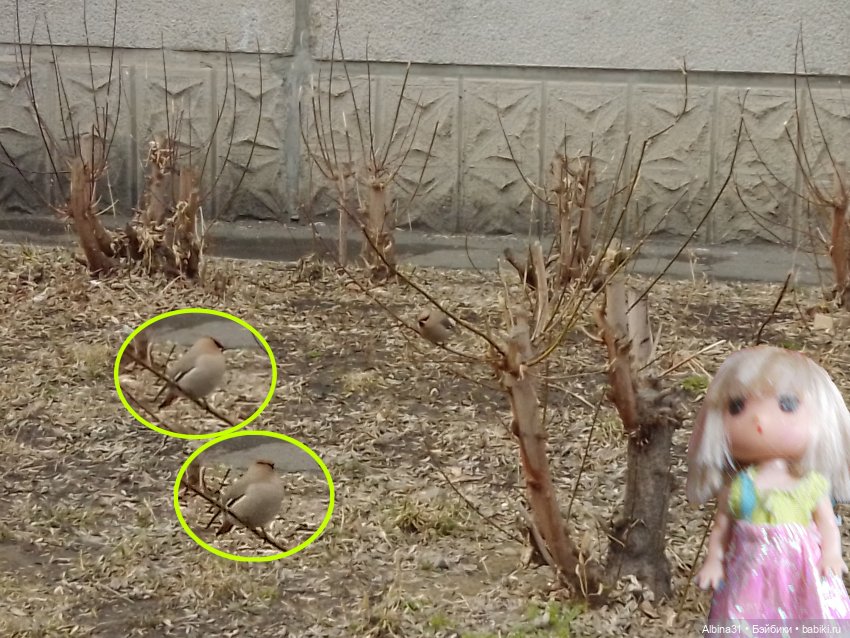 Весна... Городские зарисовки