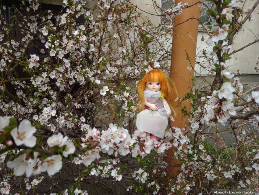 Майский день или Городские зарисовки (фото 10)