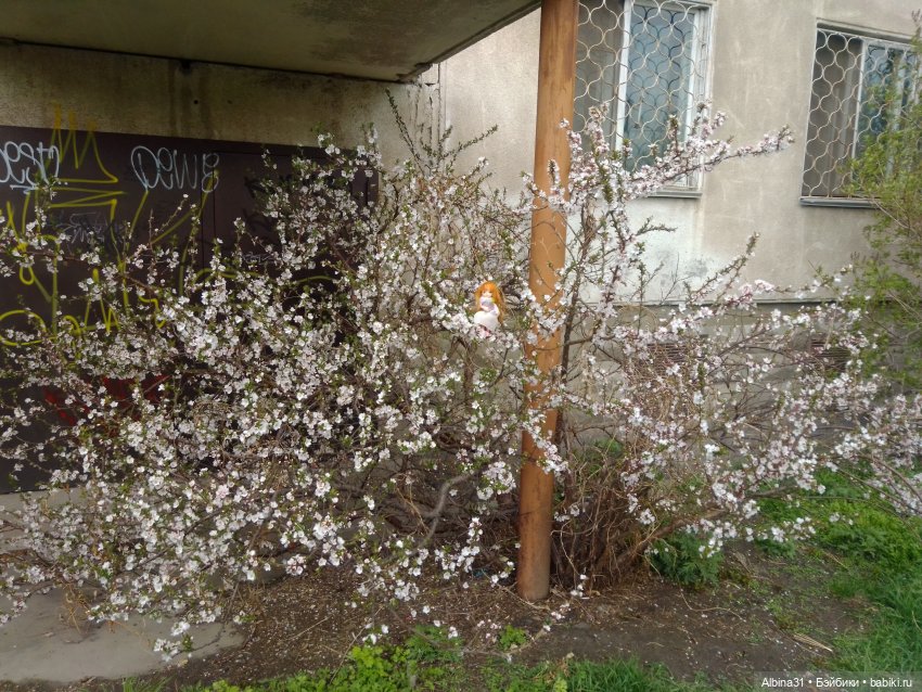 Майский день или Городские зарисовки (фото 9)