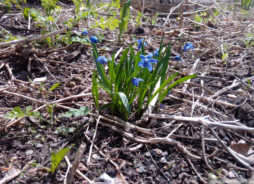 Майский день или Городские зарисовки