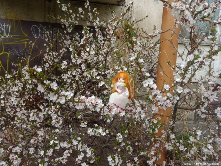 Майский день или Городские зарисовки (фото 8)