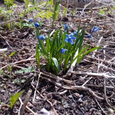 Майский день  или Городские зарисовки