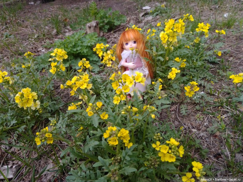 Майский день или Городские зарисовки