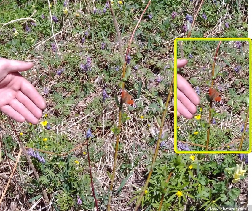 Не доходя до "Столбов" — Игровые куклы разных производителей (Разное): редкие бренды