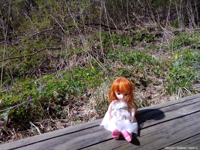 Не доходя до "Столбов" — Игровые куклы разных производителей (Разное): редкие бренды