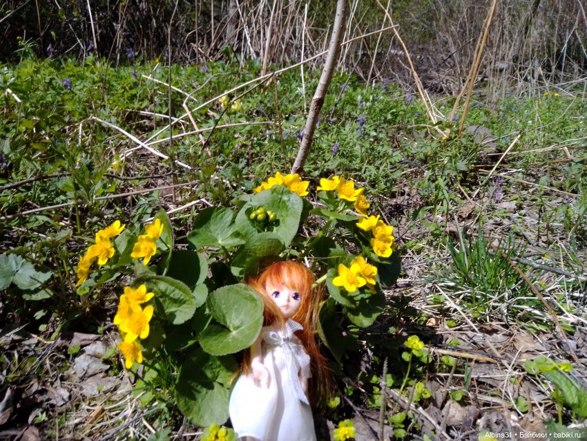 Не доходя до "Столбов" — Игровые куклы разных производителей (Разное): редкие бренды