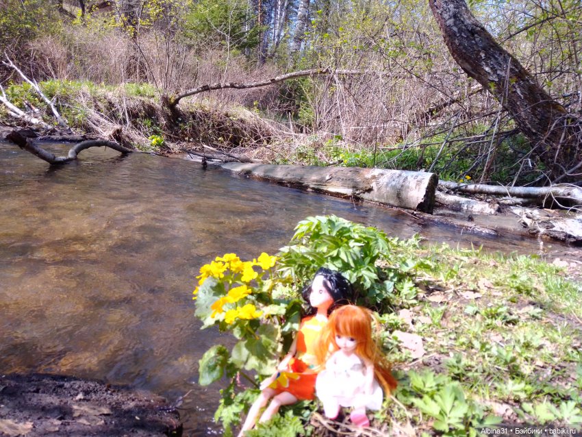 Не доходя до "Столбов" — Игровые куклы разных производителей (Разное): редкие бренды