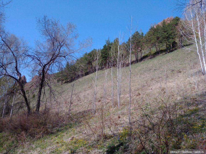 Не доходя до "Столбов" — Игровые куклы разных производителей (Разное): редкие бренды