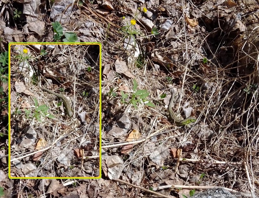 Не доходя до "Столбов" — Игровые куклы разных производителей (Разное): редкие бренды