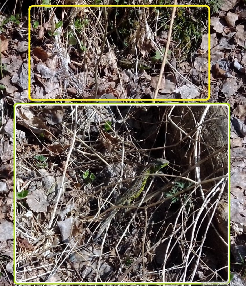 Не доходя до "Столбов" — Игровые куклы разных производителей (Разное): редкие бренды