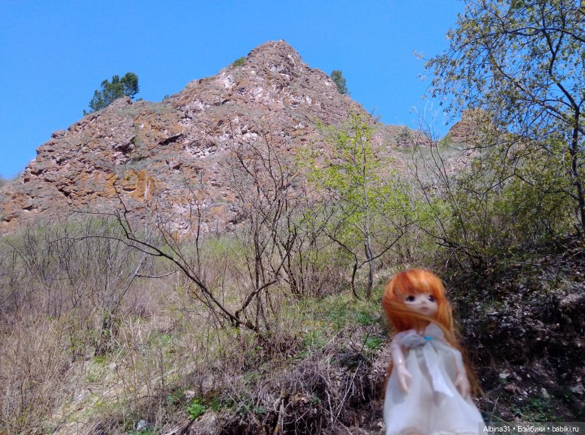 Не доходя до "Столбов" — Игровые куклы разных производителей (Разное): редкие бренды