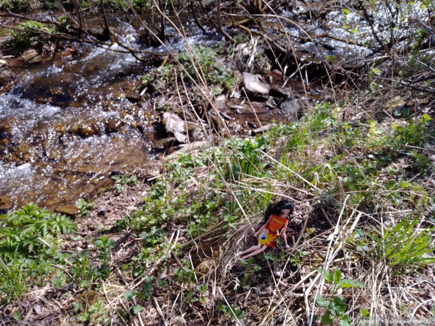 Не доходя до "Столбов" — Игровые куклы разных производителей (Разное): редкие бренды