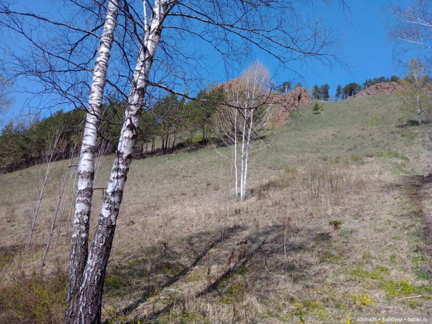Не доходя до "Столбов" — Игровые куклы разных производителей (Разное): редкие бренды