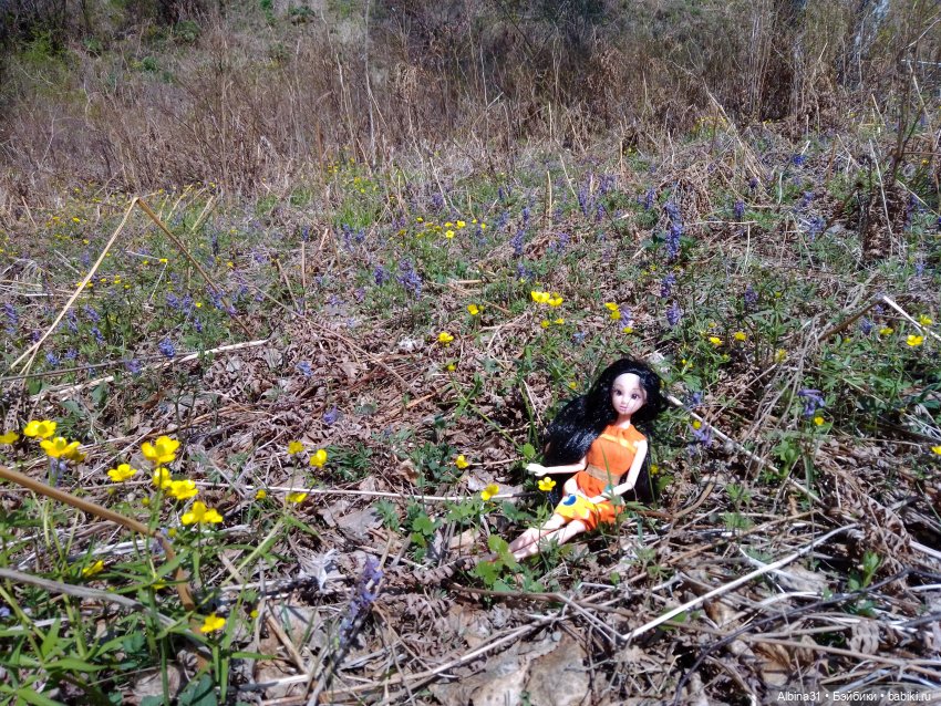 Не доходя до "Столбов" — Игровые куклы разных производителей (Разное): редкие бренды