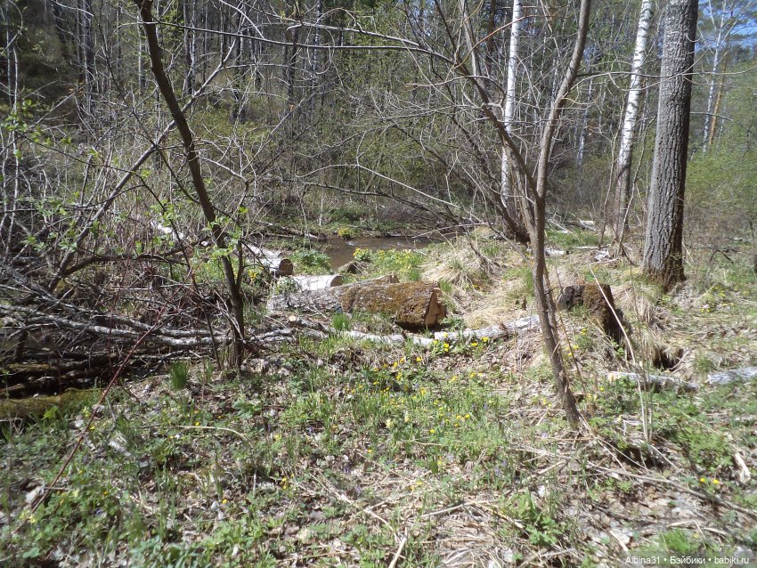 Не доходя до "Столбов" — Игровые куклы разных производителей (Разное): редкие бренды