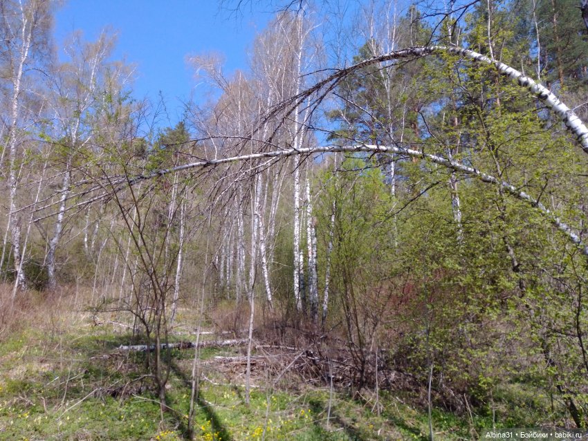 Не доходя до "Столбов" — Игровые куклы разных производителей (Разное): редкие бренды