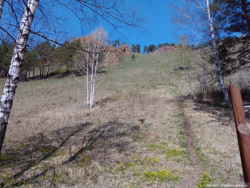 Не доходя до "Столбов" — Игровые куклы разных производителей (Разное): редкие бренды