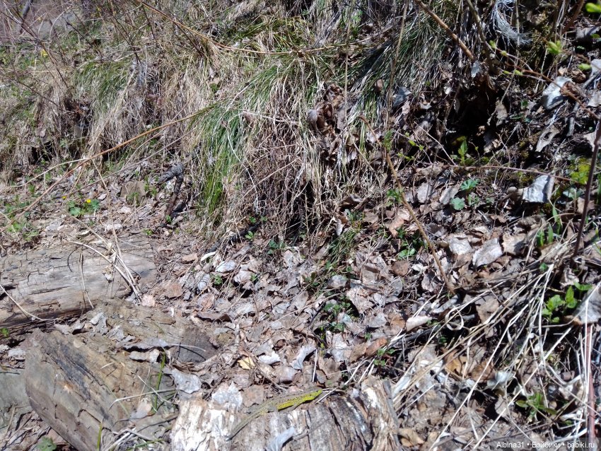 Не доходя до "Столбов" — Игровые куклы разных производителей (Разное): редкие бренды