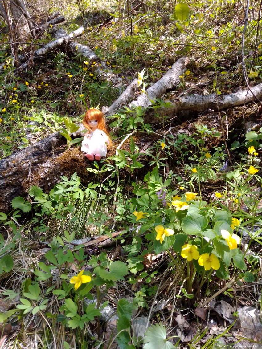 Не доходя до "Столбов" — Игровые куклы разных производителей (Разное): редкие бренды