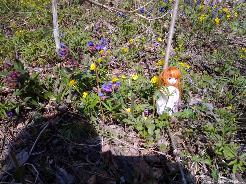 Не доходя до "Столбов" — Игровые куклы разных производителей (Разное): редкие бренды