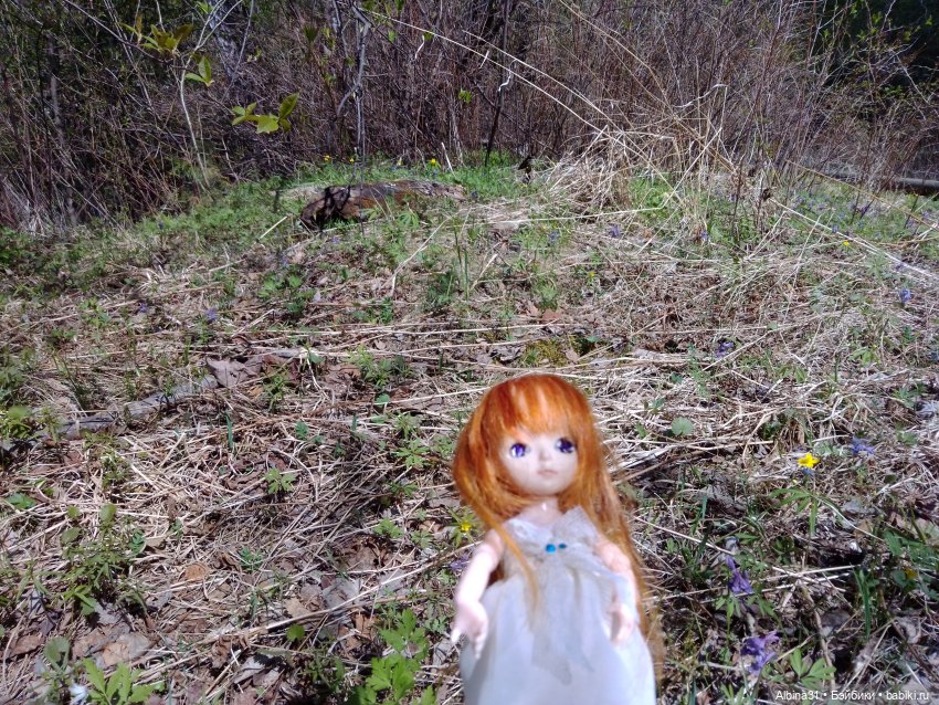 Не доходя до "Столбов" — Игровые куклы разных производителей (Разное): редкие бренды