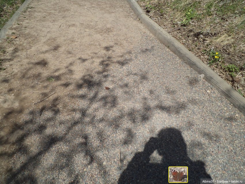 Не доходя до "Столбов" — Игровые куклы разных производителей (Разное): редкие бренды