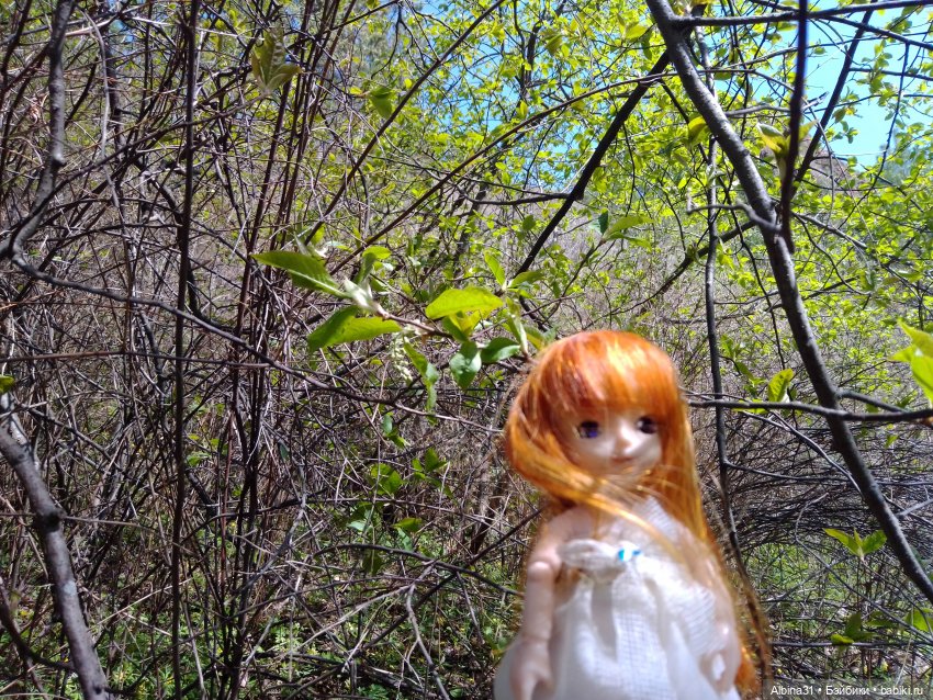 Не доходя до "Столбов" — Игровые куклы разных производителей (Разное): редкие бренды