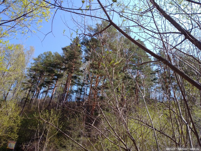 Не доходя до "Столбов" — Игровые куклы разных производителей (Разное): редкие бренды