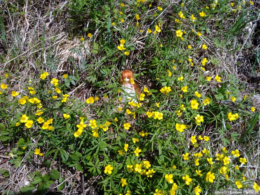 Не доходя до "Столбов" — Игровые куклы разных производителей (Разное): редкие бренды