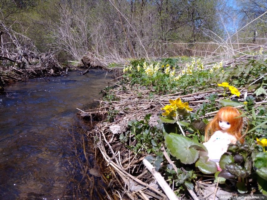 Не доходя до "Столбов" — Игровые куклы разных производителей (Разное): редкие бренды