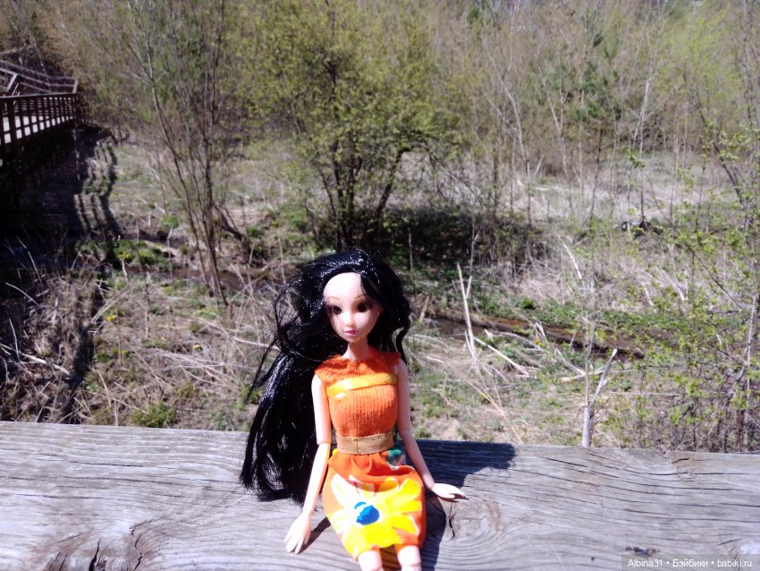 Не доходя до "Столбов" — Игровые куклы разных производителей (Разное): редкие бренды