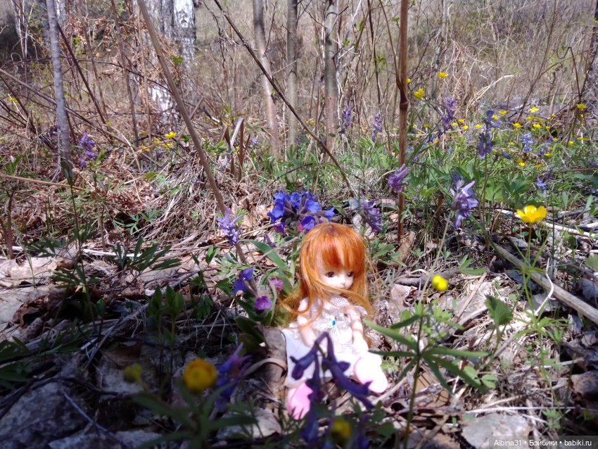 Не доходя до "Столбов" — Игровые куклы разных производителей (Разное): редкие бренды