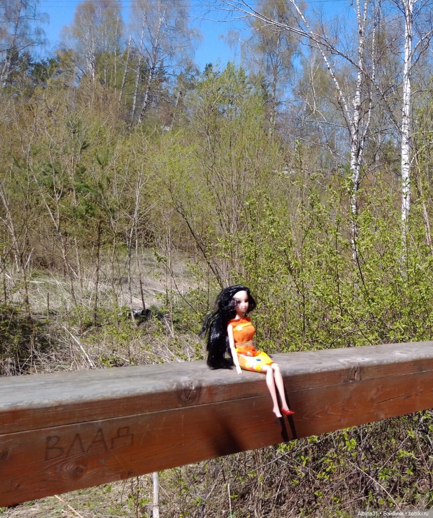 Не доходя до "Столбов" — Игровые куклы разных производителей (Разное): редкие бренды