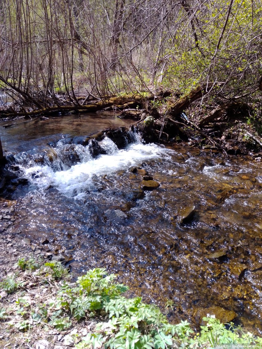 Не доходя до "Столбов" — Игровые куклы разных производителей (Разное): редкие бренды