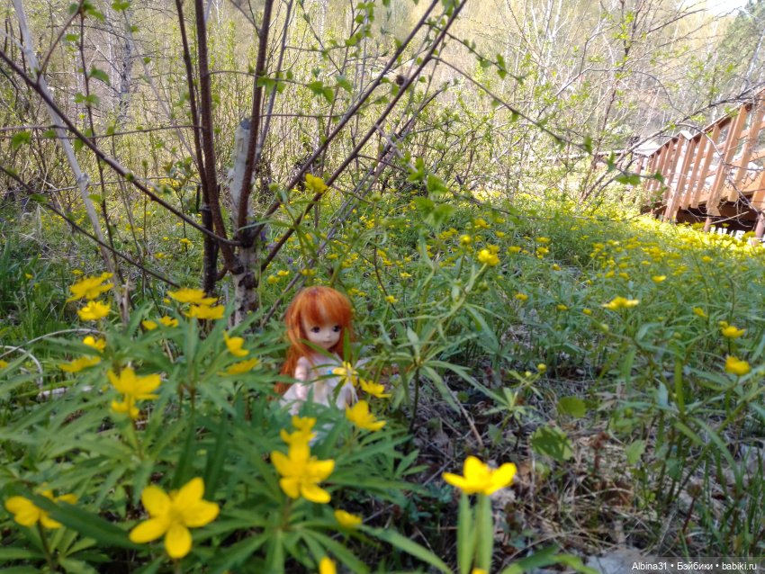 Не доходя до "Столбов" — Игровые куклы разных производителей (Разное): редкие бренды