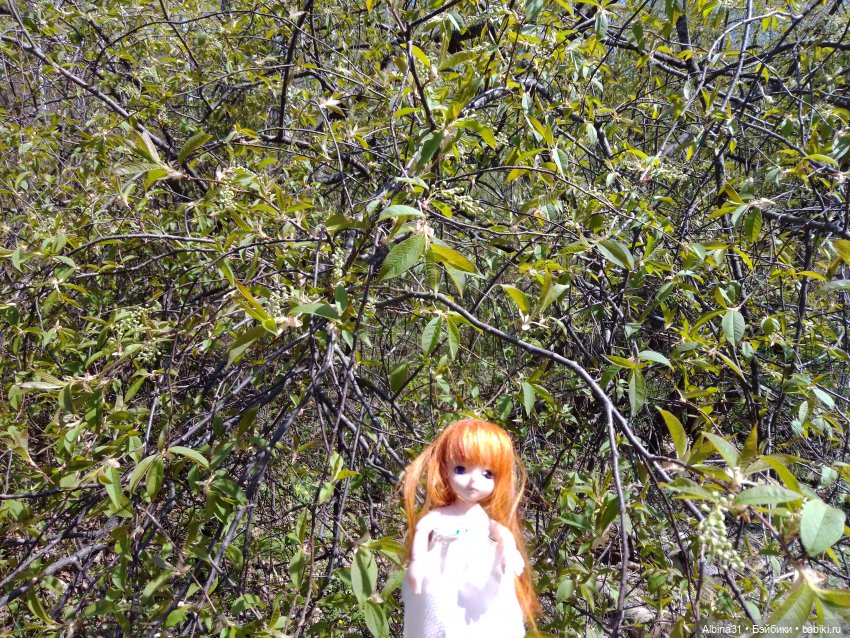 Не доходя до "Столбов" — Игровые куклы разных производителей (Разное): редкие бренды