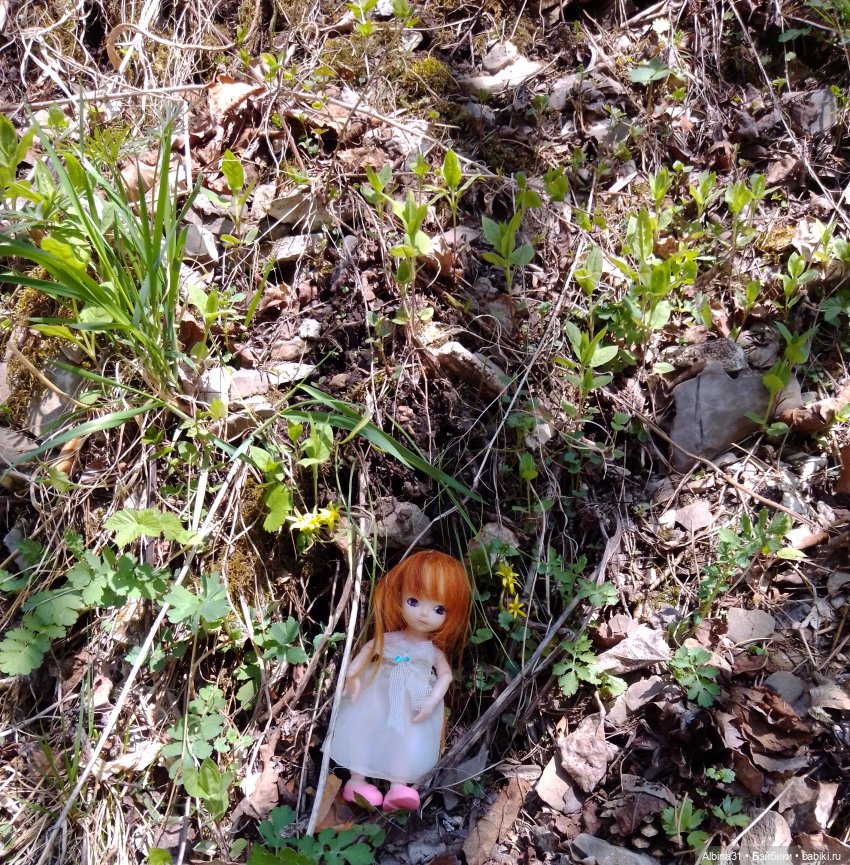 Не доходя до "Столбов" — Игровые куклы разных производителей (Разное): редкие бренды